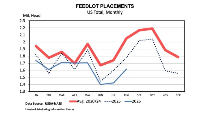 Fewer cattle placed, more cattle on feed