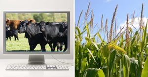 virtual-beef-and-corn.jpg