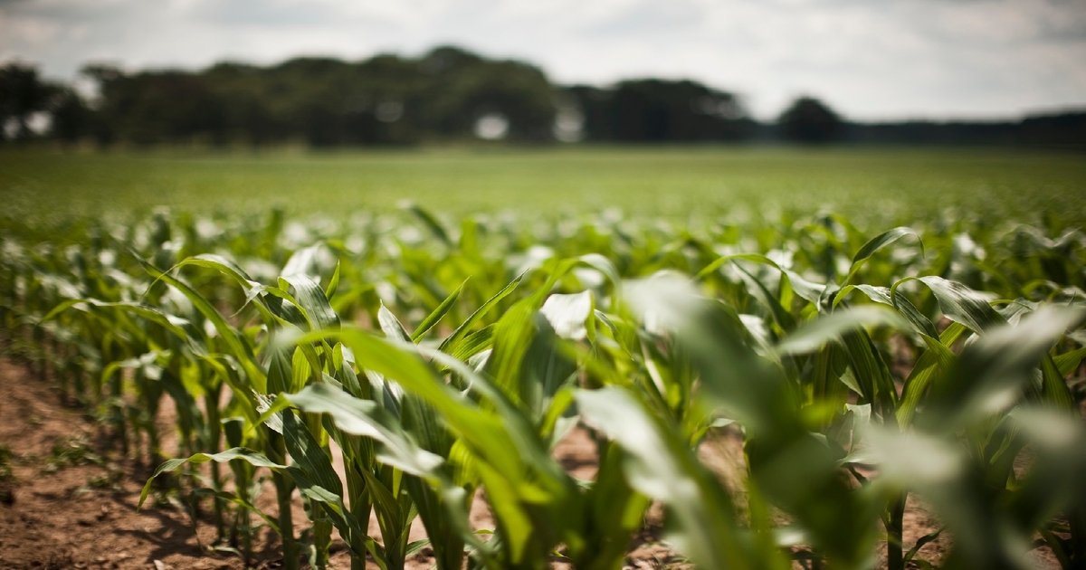 Farm Progress America, July 1, 2024