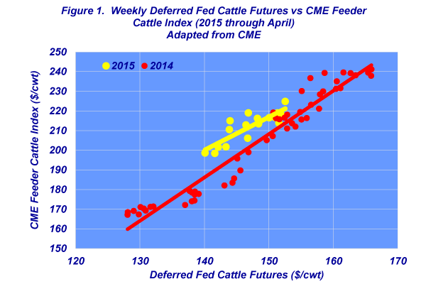 weekly deferred fed cattle prices