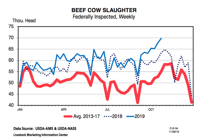 Cull cow outlook in 2019