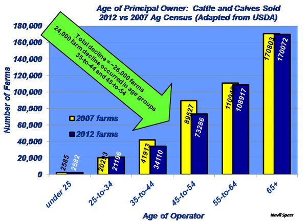Age of Principal Owner: Cattle and Calves Sold