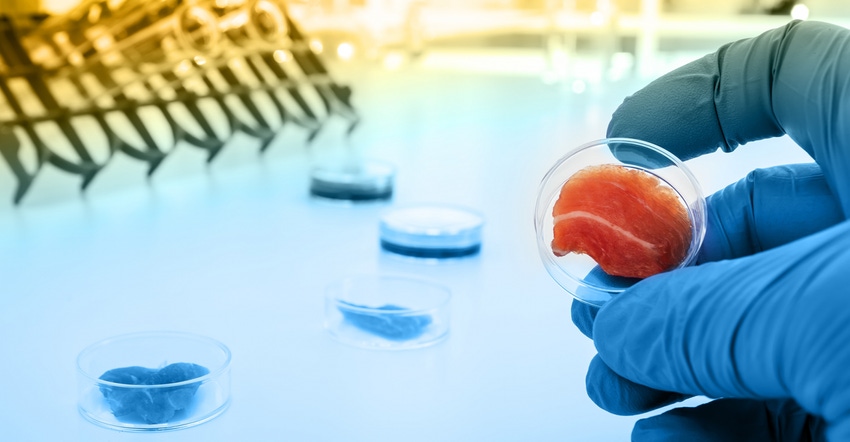 cultured meat_0_3.png cultured meat_0_3.png
