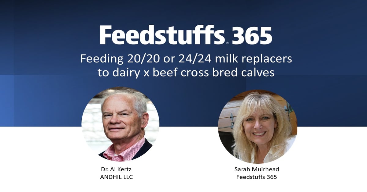 Feeding 20/20 or 24/24 milk replacers to dairy x beef cross bred calves