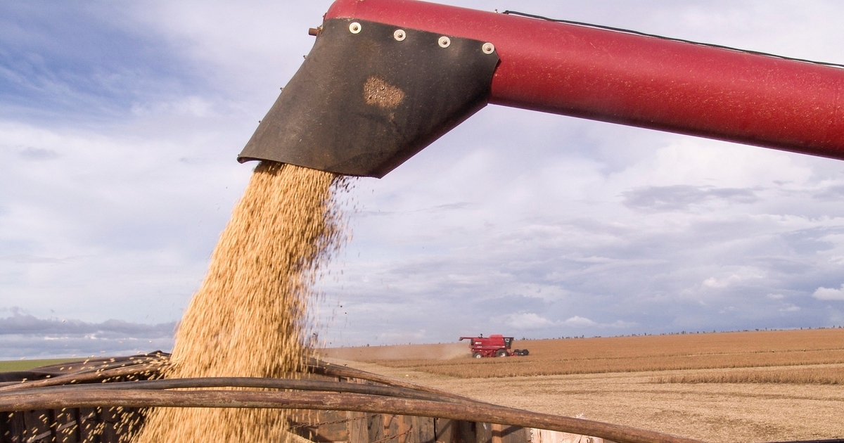 Farm Progress America, August 20, 2024