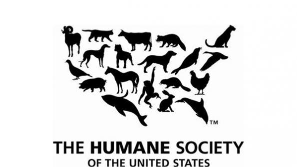 HSUS is a fox in the hen house