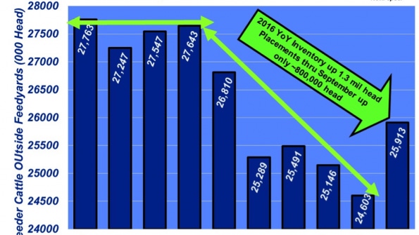 What the Cattle on Feed reports tells you about feeder cattle