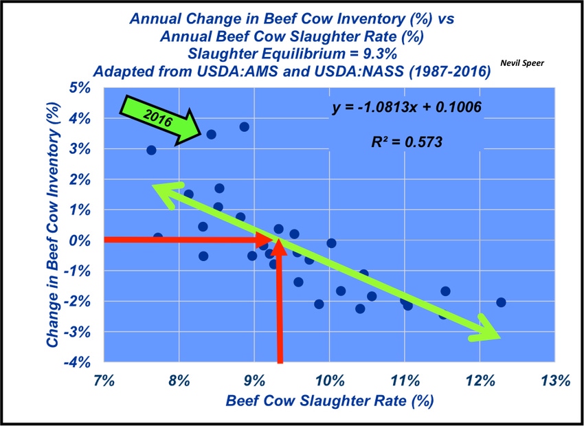 Cow slaughter trends indicate future herd size