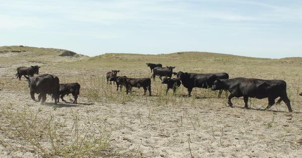 Drought again in the Southern Plains – what does it mean big picture?