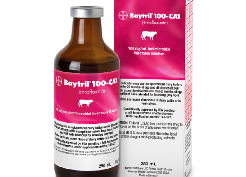 Bottle of Baytril 100-CA1