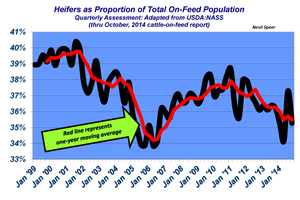 Industry at a glance: Heifer population in feedyards is slowly declining