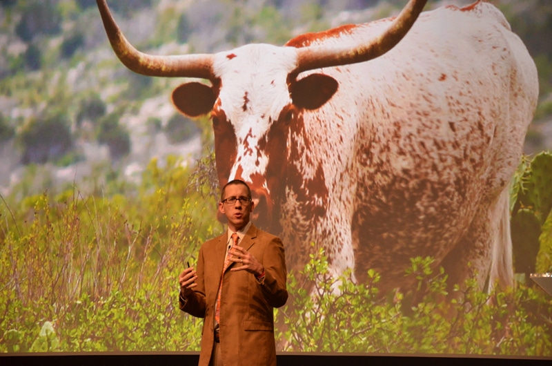 CattleFax: Better weather, continued strong feeder prices on tap for 2015