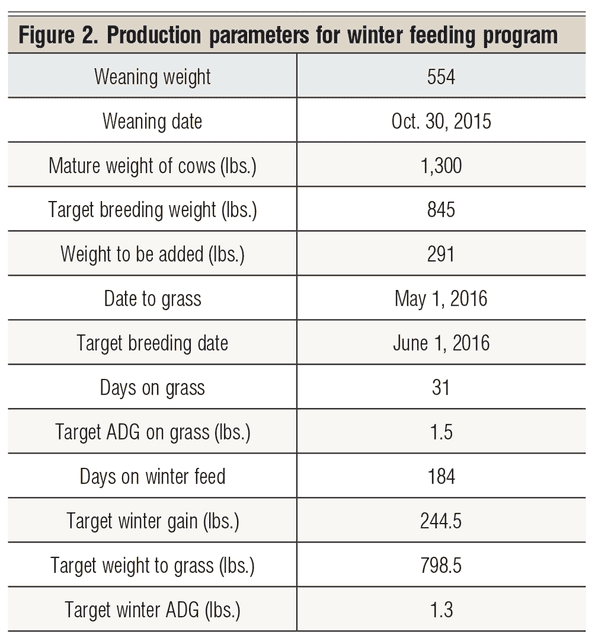 production parameters for beef cows