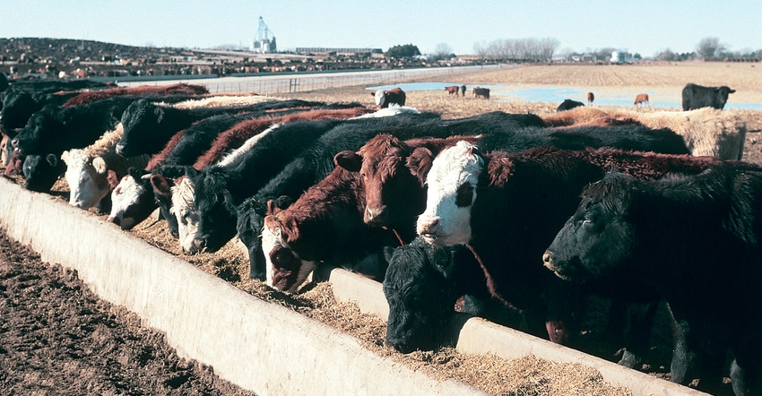 How Mixing Demonstrations Can Drive Proper Ration Uniformity How Mixing Demonstrations Can Drive Proper Ration Uniformity