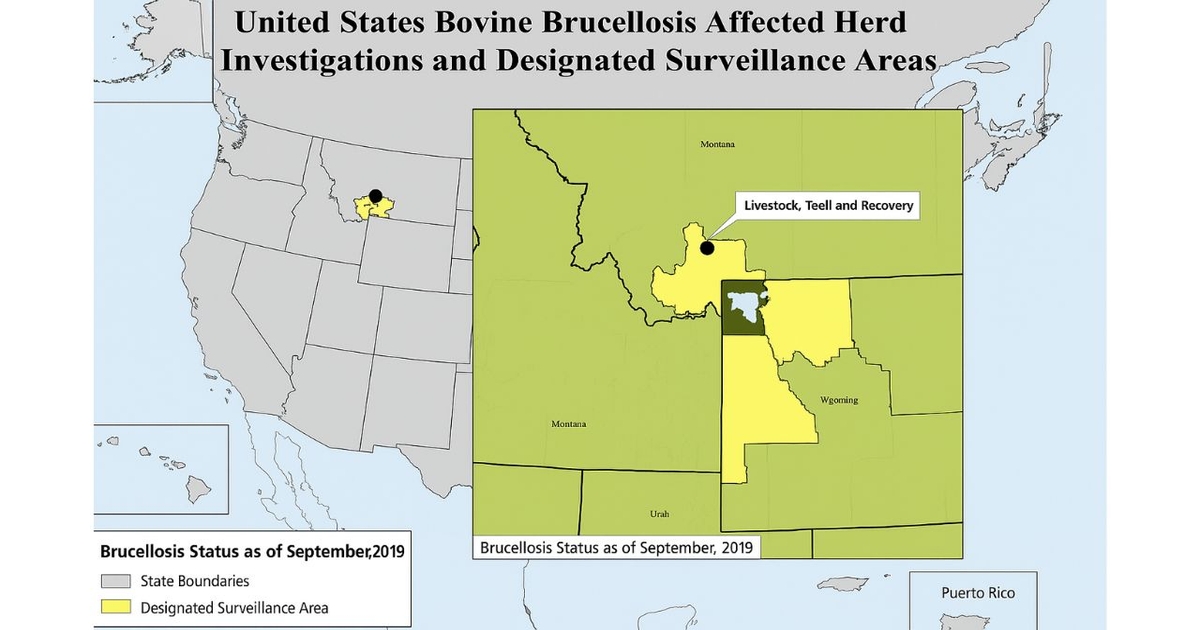 Brucellosis found in Montana cowherd