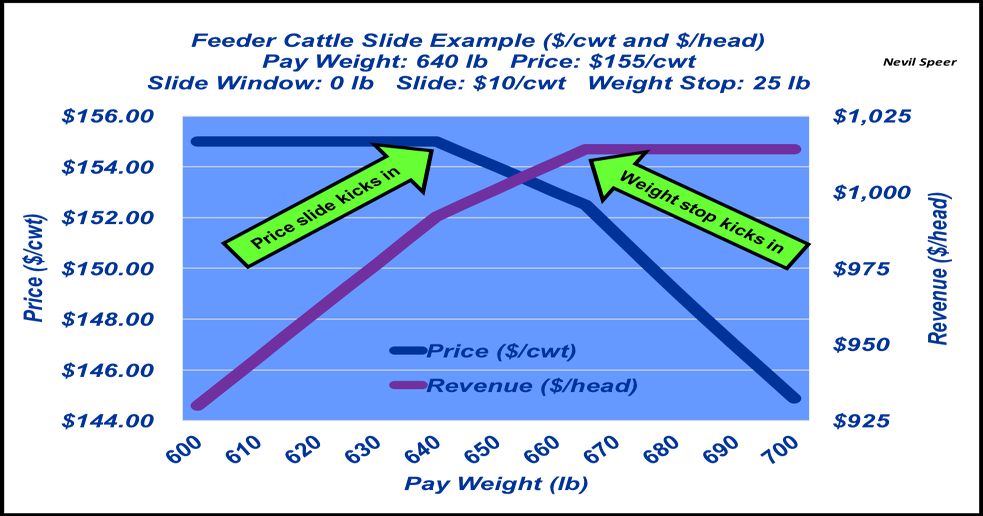 How feeder cattle price slides work, and why