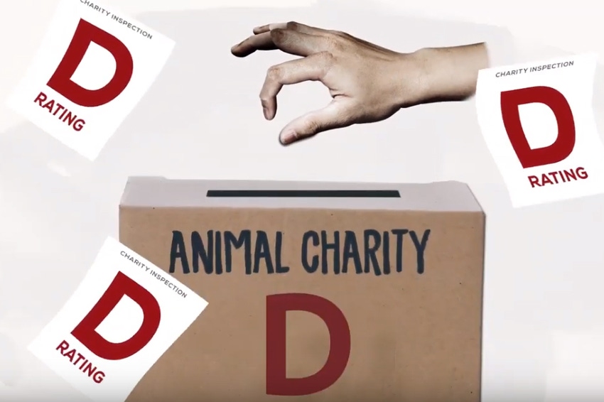 Center for Consumer Freedom launches ad about HSUS on Giving Tuesday