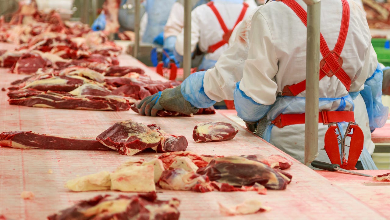 쇠고기 포장 노동자