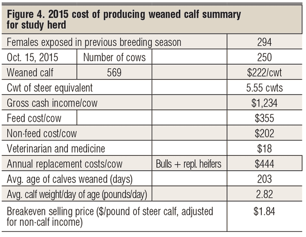 cost of producing cowherd