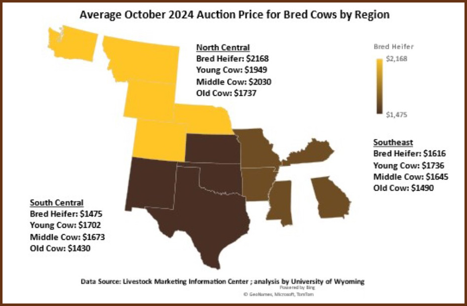 LMIC_Average_October_2024_auction_price_for_bred_cows_by_region.jpg
