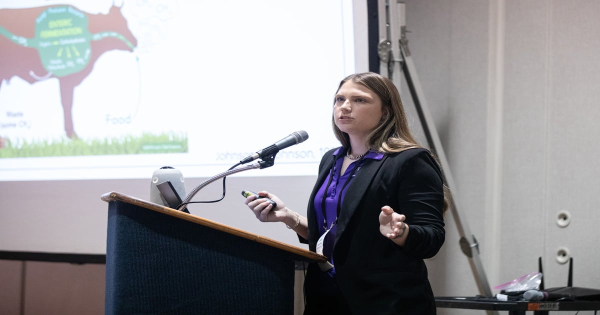 Breeding for better efficiency: Genetic research targets methane in grazing cattle