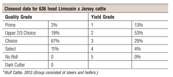 beef builder breed closeout data