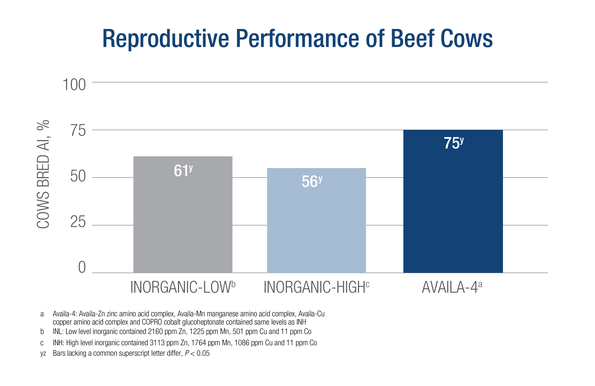 Reproductive_Performance_beef.png