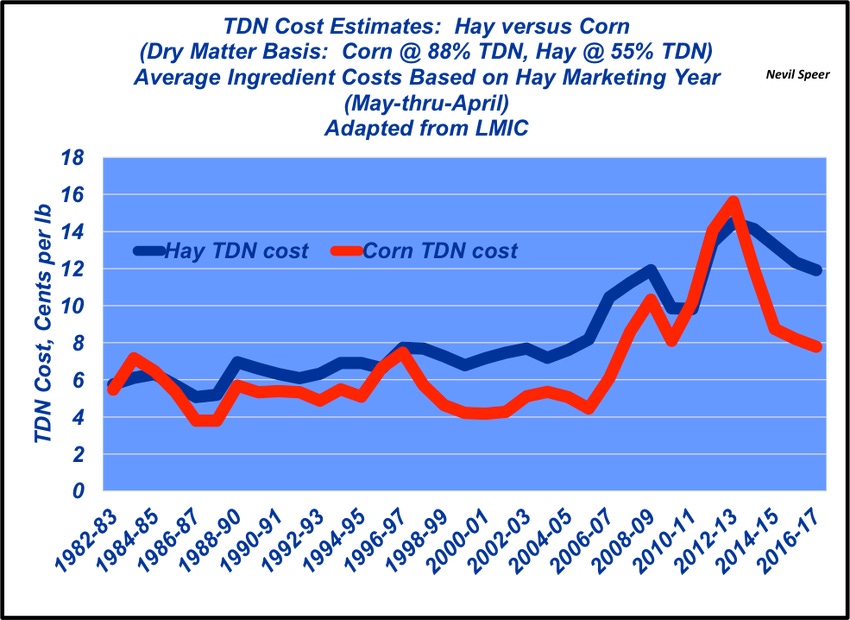 Is corn still a viable feeding option?