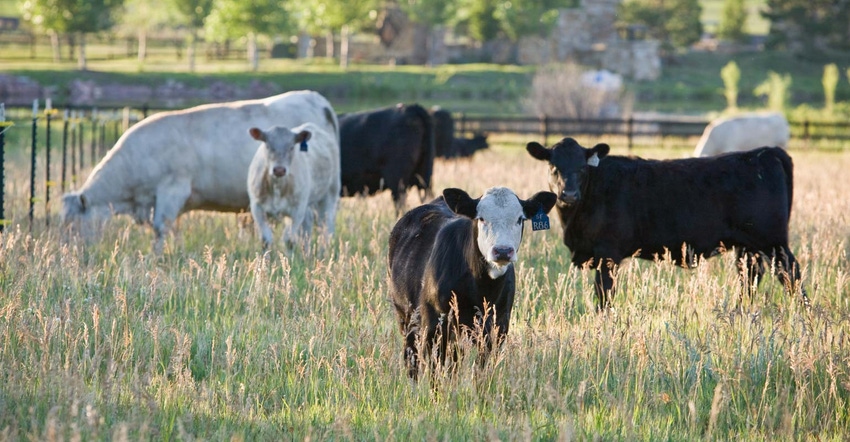 Working with your clients on a successful preconditioning program Working with your clients on a successful preconditioning program