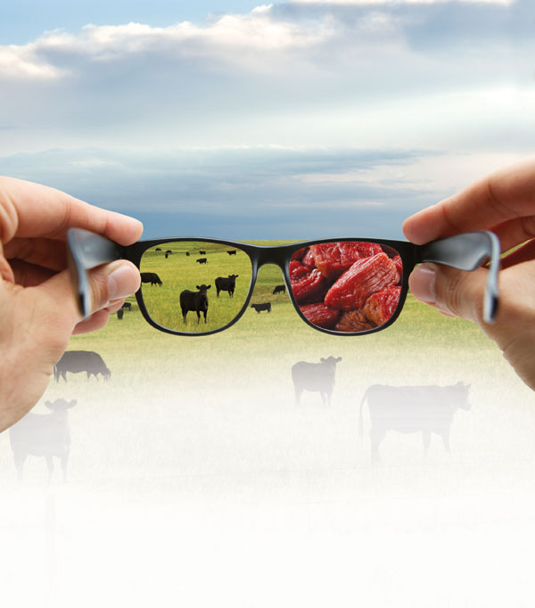 Beef Quality Audit Serves As A Lens To Identify Industry Problems, Consumer Needs Beef Quality Audit Serves As A Lens To Identify Industry Problems, Consumer Needs