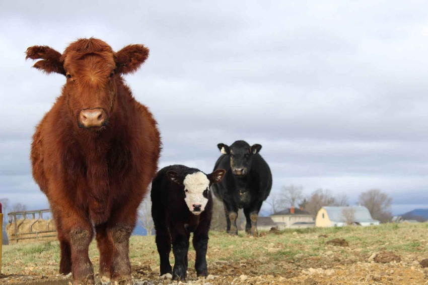 There’s still time to enter our fall photo contest! There’s still time to enter our fall photo contest!