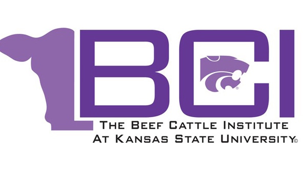 Youth Beef Quality Assurance Training Modules Now Available Online