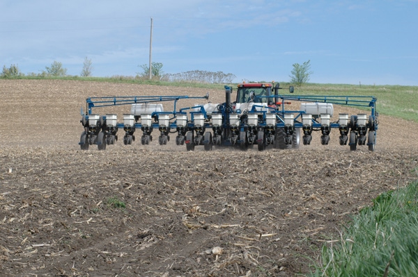 Corn acres estimated lower but stocks remain high Corn acres estimated lower but stocks remain high