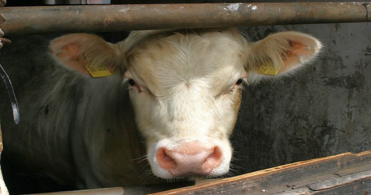Inaction on traceability is unacceptable