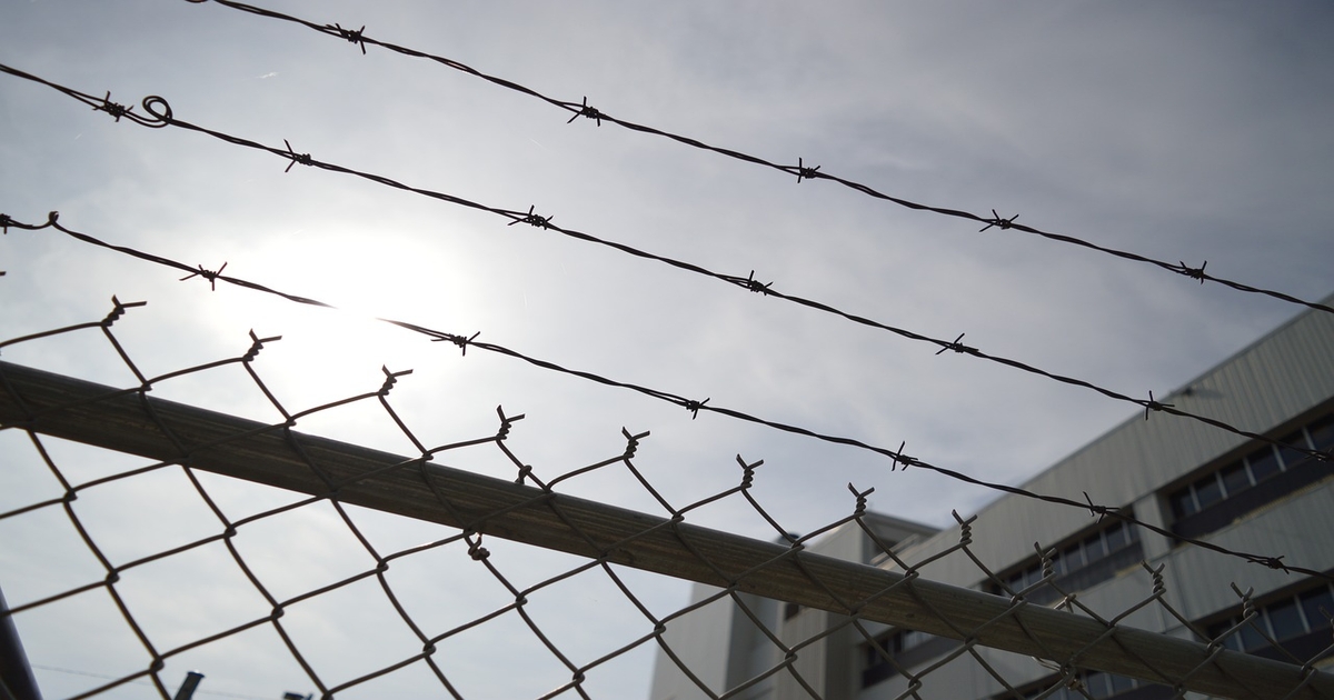 Farmer sentenced to prison in cattle theft and bankruptcy fraud scheme