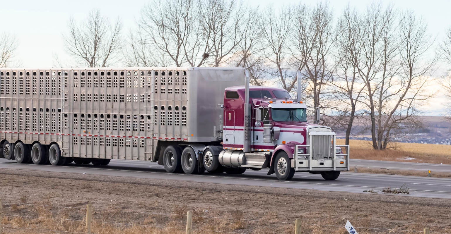 FMCSA denies extended trucking hours