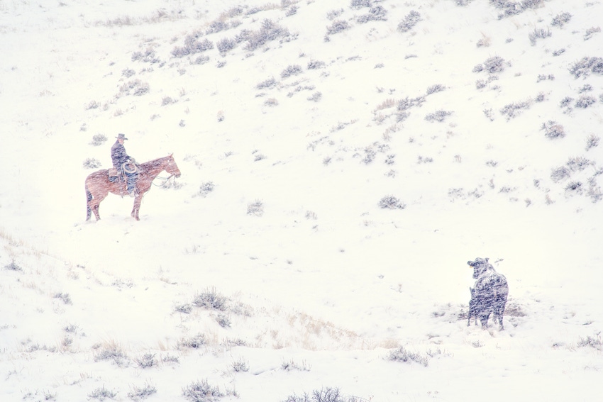 Announcing the “Ranch work, ranch life” contest winners