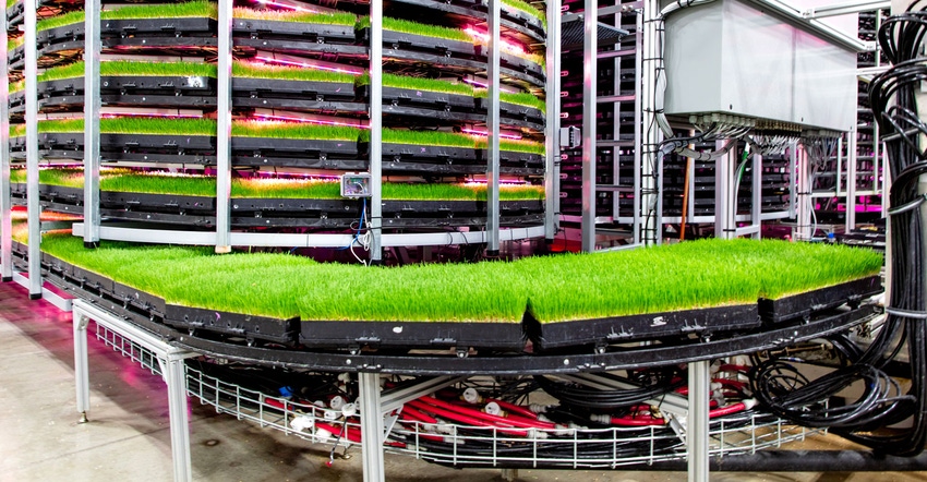 The Grōv vertical farming system produces fresh cattle feed indoors The Grōv vertical farming system produces fresh cattle feed indoors