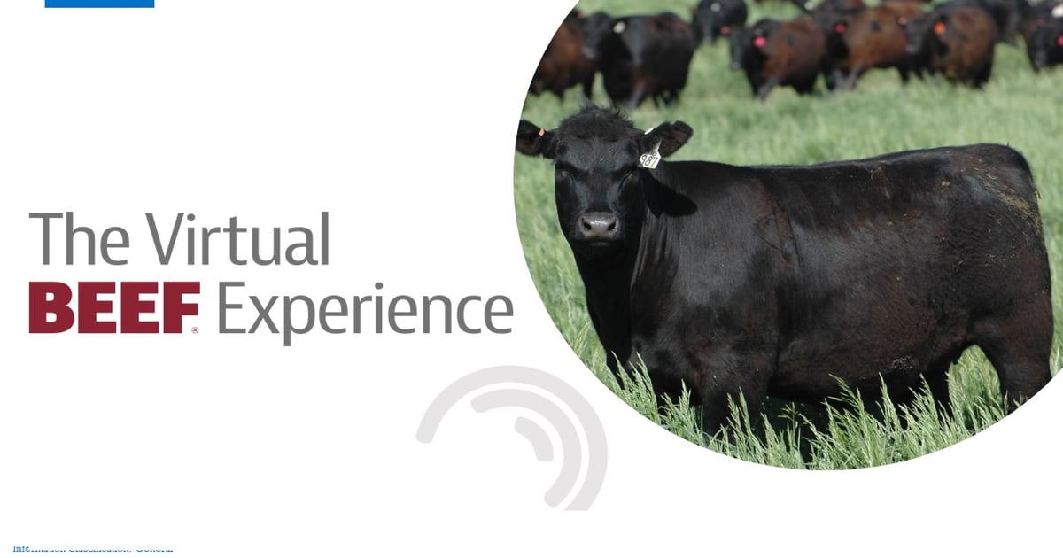 BEEF to host The Virtual BEEF Experience – February 1-4