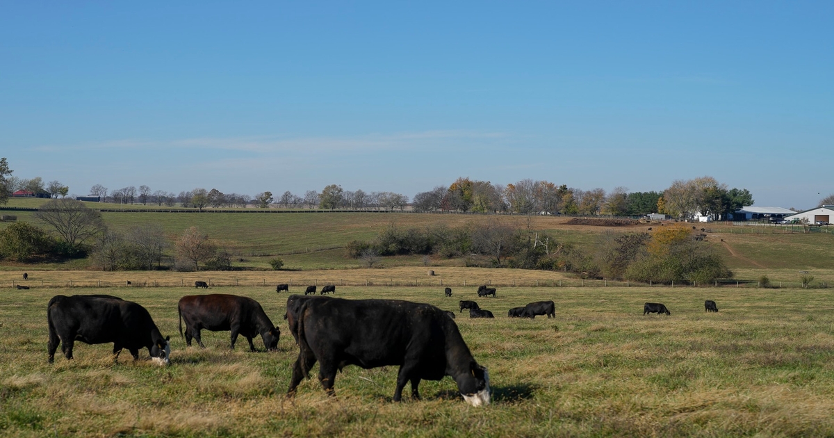 Unlocking reproductive performance with Purina® CX8™