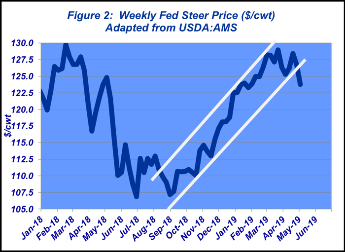 Weekly Fed Steer Prices - May 2019