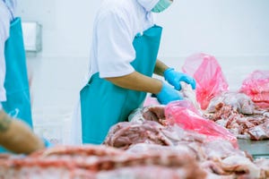 meat processing slaughter inspection