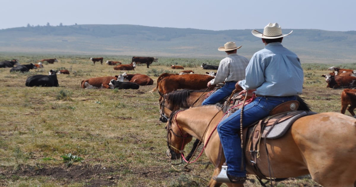 A looming battle over grazing