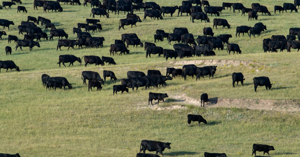 Licensed Angus Beef awards $81,500 to record-breaking 23 recipients