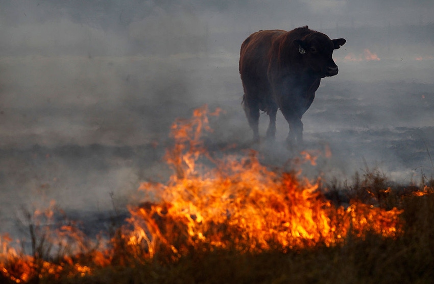 It took generations to build this cattle ranch - and 3 hours for a wildfire to destroy it
