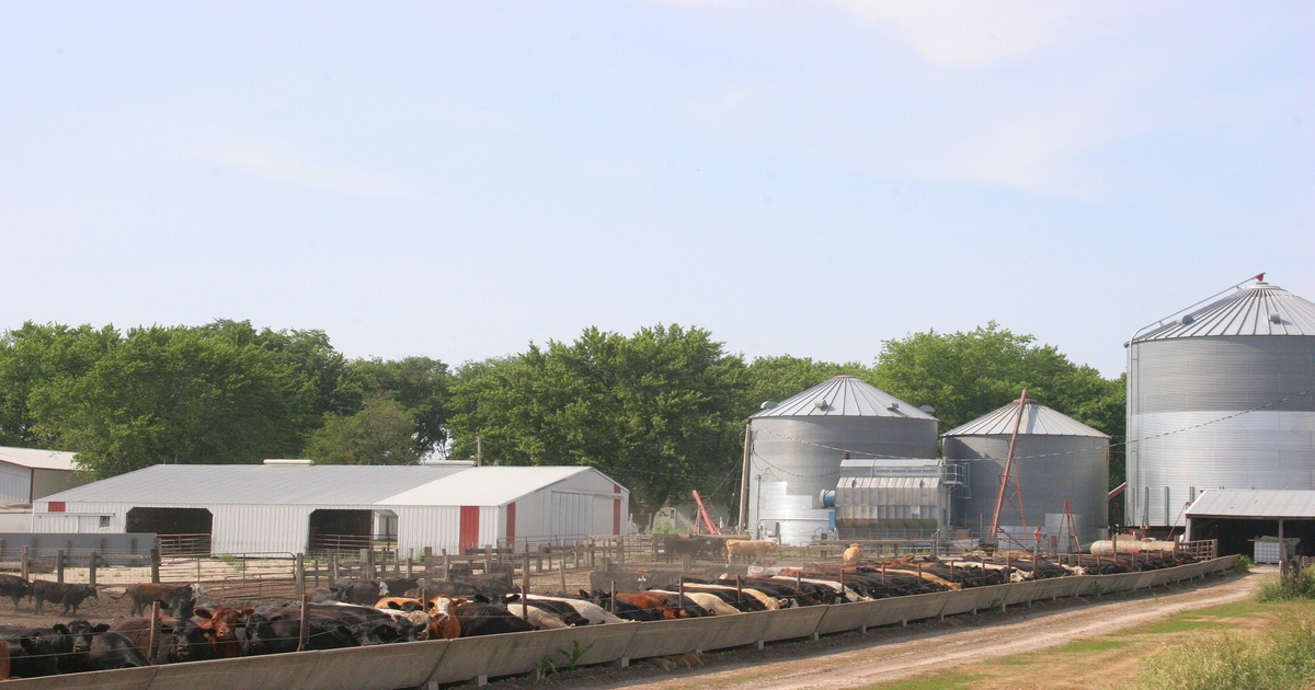 Are beef producers interested in cooperative business models?