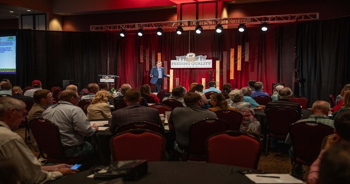 Feeding Quality Forum: high-quality beef production takes focus