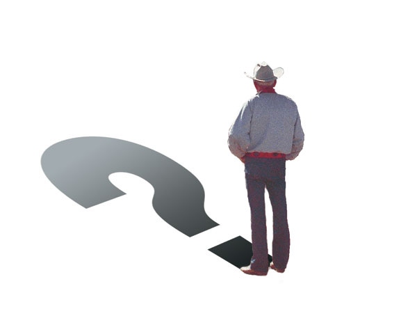 Five Consultants Prognosticate The Future Of The Cattle Business Five Consultants Prognosticate The Future Of The Cattle Business