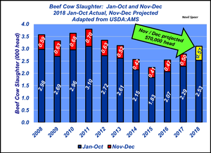 December 2018 Cow Slaughter