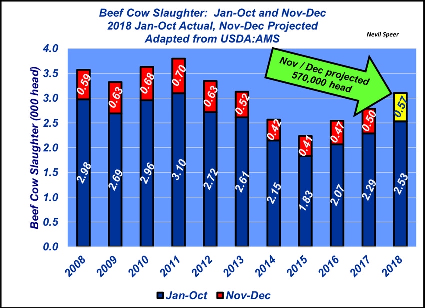 December 2018 Cow Slaughter December 2018 Cow Slaughter